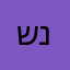 ניר שגב